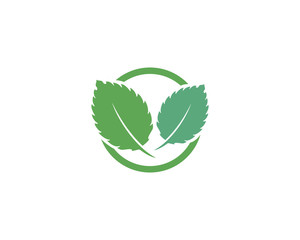 Mint leaf vector icon illustration design 