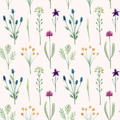 Seamless pattern watercolor wildflowers isolated on white background. Hand drawn painted flowers illustration. Summer disign