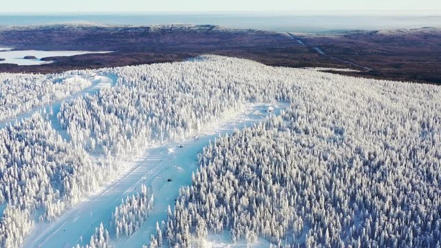 Aerial view on a mountain slope and ski track surrounded by frozen coniferous trees in winter against blue sky. Footage. Winter landscape