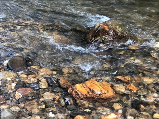 fast running river in the jungle with beautiful stones , clear water and tropical vegetation in Thailand in Phuket
