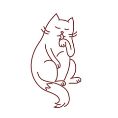 Calm cat licks paw grooming