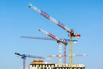 Five large tower cranes above a concrete building under construction against blue sky.