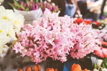 Fresh Spring Bouquet Flowers Hyacinths For Sale At Outdoor Market