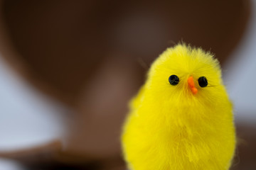 Easter Chick