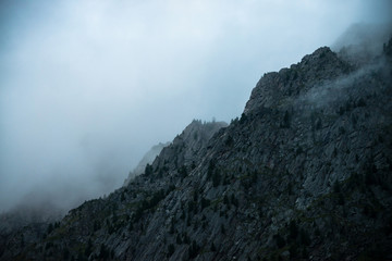 Fototapeta na wymiar Ghostly giant rocks with trees in thick fog. Mysterious huge mountain in mist. Early morning in mountains. Impenetrable fog. Dark atmospheric eerie landscape. Tranquil mystic atmosphere of wilderness.