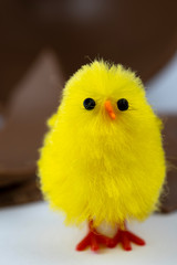 Easter Chick