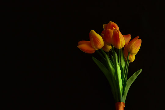 Orange tulips on a black background.