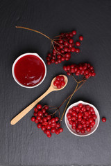 viburnum with juice, jam, tea on black background 