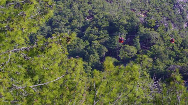 Cableway on picturesque mountains. Red cabins driving over huge green trees growing on rocks. Real time 4k video footage.