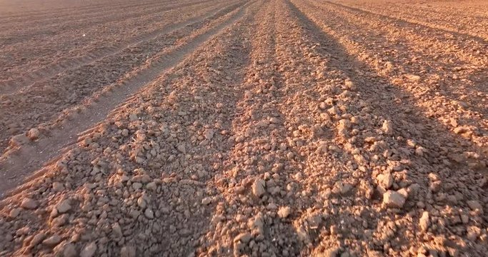Furrows row pattern in a plowed field whit red soil
