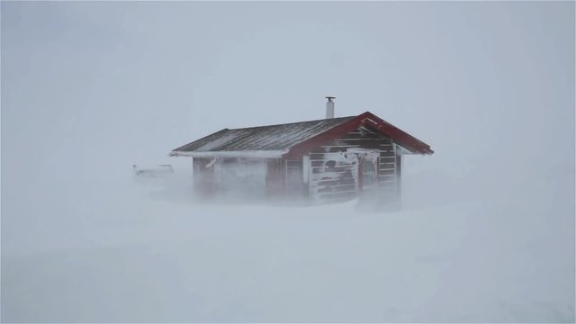 Snow storm hitting a cabin with strong winds