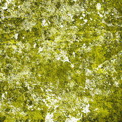 Abstract green background. Christmas background