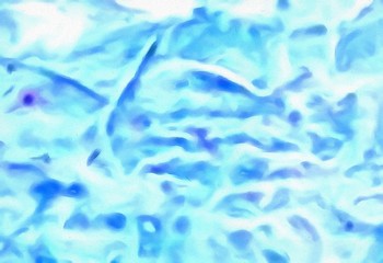 Abstract acrylic watercolor background. Colorful high resolution texture. Warm and bright colors pattern.