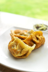 Chinese dumplings snack with soy sauce and ginger. On wooden table and green grass background.