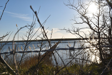view of the barbed wire in the branches with the paths on the background sea