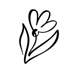 Continuous line hand drawing calligraphic vector flower concept logo organic. Scandinavian spring floral design element in minimal style. black and white