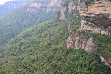 Fototapeta na wymiar Felswände an den Wentworth Falls in den Blue Mountains in Australien