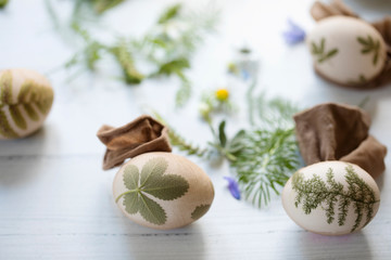 Fototapeta na wymiar Easter eggs with pressed leaves and flowers, prepared to be dyed