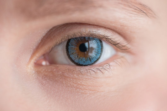 Beautiful eye in blue soft contact lens close up macro