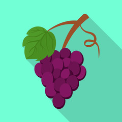 Isolated object of grape and bunch logo. Collection of grape and fruit vector icon for stock.