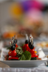 Delicious Canapes snacks with cheese on the buffet table