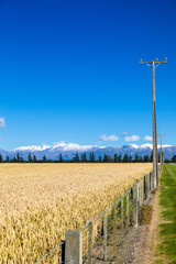Obraz premium Mount Taylor and Mount Hutt scenery in south New Zealand