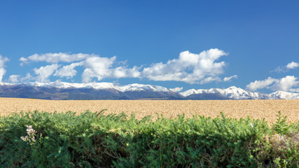 Fototapeta na wymiar Mount Taylor and Mount Hutt scenery in south New Zealand