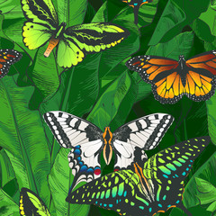 Vector Tropical bananas palm, textural seamless pattern.