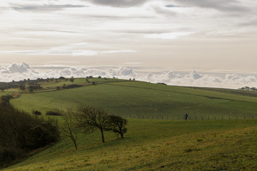 Fototapeta premium Pradera verde con nubes en el cielo 