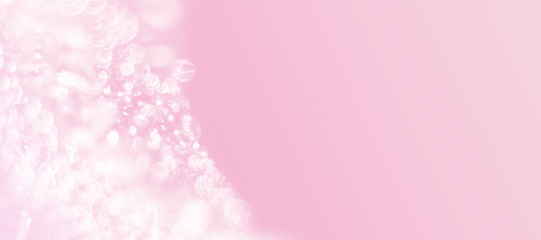 Luxury abstract pink background. For weddings or celebrations. Banner with copy space
