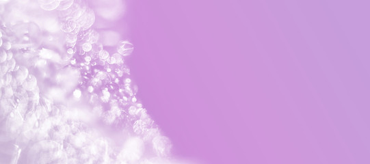 Luxury abstract lilac background. For weddings or celebrations. Banner with copy space