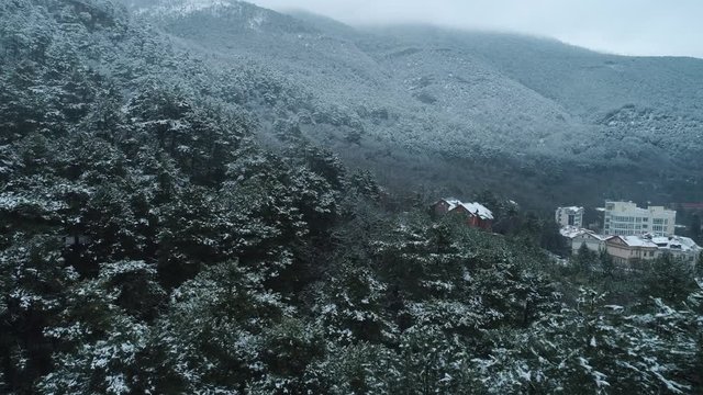 Aerial view of coniferous mountain forest covered by snow with modern cottages on the slope in winter. Shot. Winter resort
