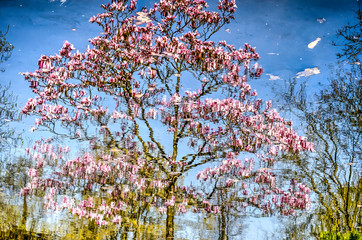 Fototapety na wymiar - Fototapeta24.pl