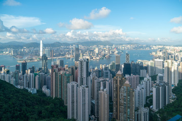 Fototapeta na wymiar Hong Kong and Kowloon from Victoria Peak