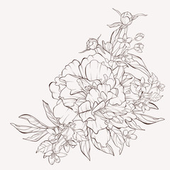 Vector peony flower isolated on white background. Element for design. Hand-drawn contour lines and strokes.