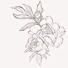 Pfingstrosenblüte und Blattzeichnung. Vektor handgezeichnete gravierte Blumenkarte. Botanische Rose, Zweig und Beere Skizze mit schwarzer Tinte. Ideal für Tätowierungen, Einladungen, Grußkarten, Dekorationen. © j_bunina