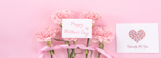 Top view, flay lay, copy space, close up, mock up, mothers day thanks design concept. Beautiful fresh blooming baby pink color carnations isolated on bright pink background