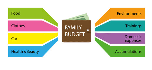 Infographic of family budget