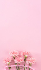Fototapeta na wymiar Top view, flay lay, copy space, close up, mock up, mothers day thanks design concept. Beautiful fresh blooming baby pink color carnations isolated on bright pink background