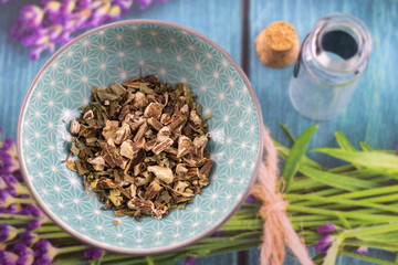 Löwenzahnkrautwurzel Wurzel Heilkräuter Detail