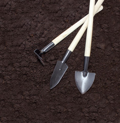 Garden shovel and rake on the ground