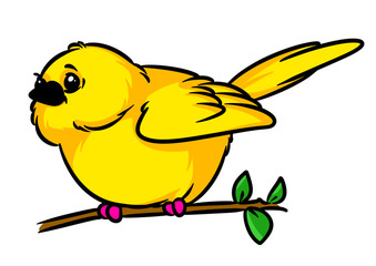 Canary little yellow bird animal character sitting branch cartoon illustration isolated image 