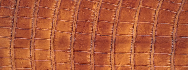 Orange color crocodile skin texture