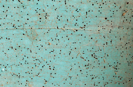 madera pintada de azul con muchos agujeros de carcoma