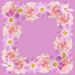 Beautiful floral pattern of kosmeya and carnations. Isolated