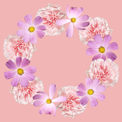 Beautiful floral circle of kosmeya and carnations. Isolated