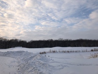 winter landscape with snow