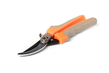 Secateur isolated on white background. 