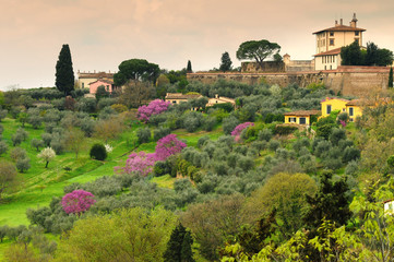Forte di Belvedere in Florence in Italy, taken from Piazzale Michelangelo on a spring day with...