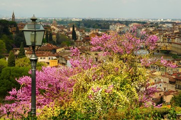 Old street lamp at Piazzale Michelangelo with blooming Judas trees and the view of Florence on...